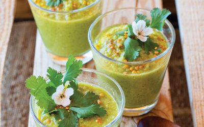 Tomatillo Cucumber Summer Soup