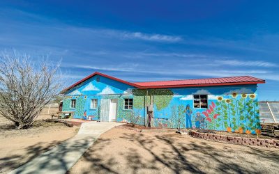 Designing Agricultural Landscapes for Human Well-Being