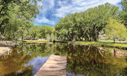 A Northern New Mexico Hideaway