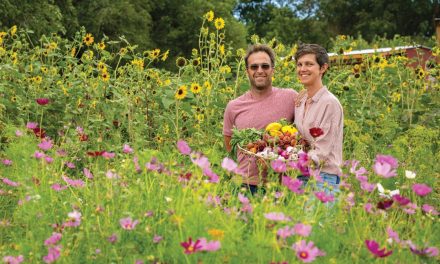 Reunity Resources Community Farm