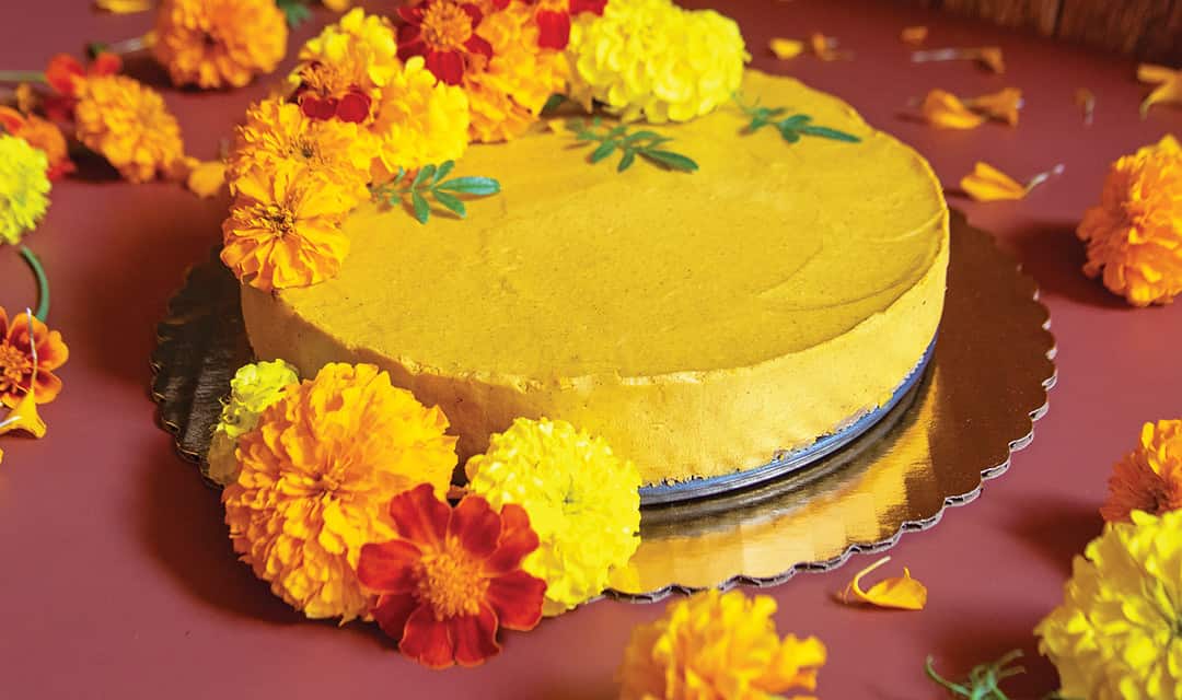 Planty Pumpkin Cheesecake