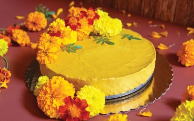 Planty Pumpkin Cheesecake
