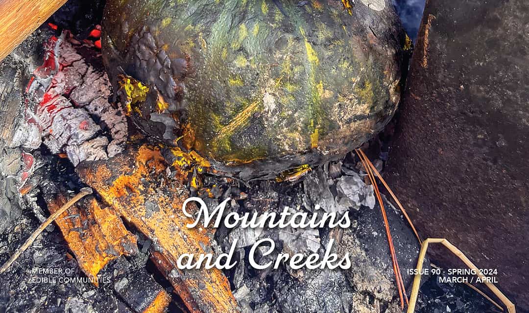 Spring 2024: Mountains & Creeks