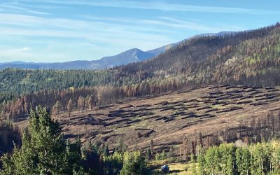 Fireshed-Watershed-Foodshed