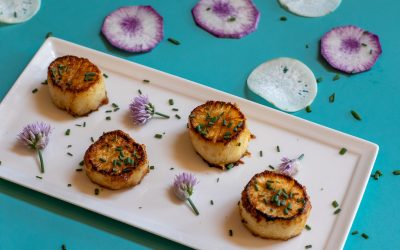 Daikon Radish “Steaks”