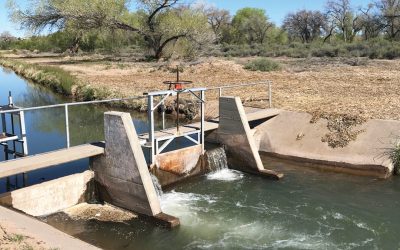ACEQUIA CASE STUDIES