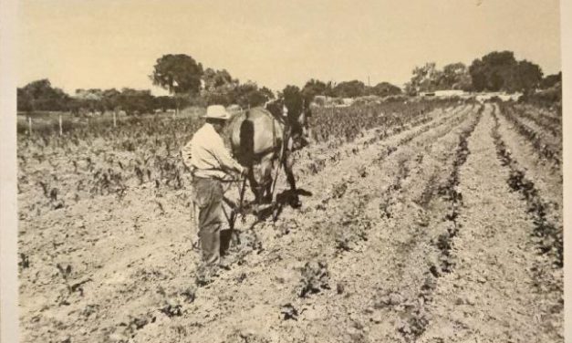 The Tradition of Acequias in Corrales