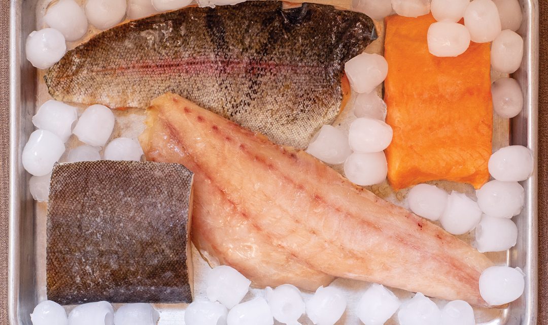 A Shift to Eating More Fish