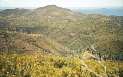 Capulin Canyon