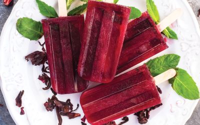 Agua de Jamaica Paletas