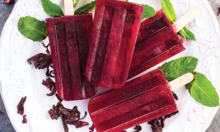 Agua de Jamaica Paletas