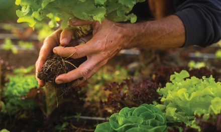 THE ART OF MAKING WATER