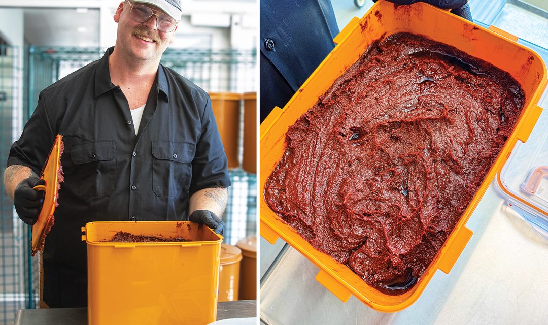 Embracing Slow: The Story of NM ChileJang