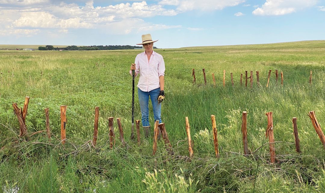 A Day in the Life with Grass Nomads