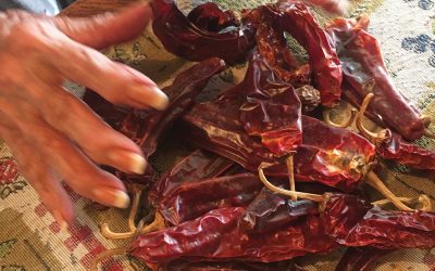 Eat Chile, Know the Land