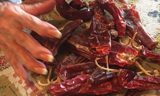 Eat Chile, Know the Land