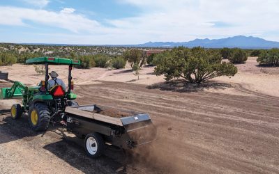 Desert Dirt and How to Fix It