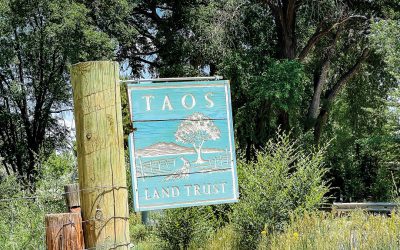 Conservation and Care