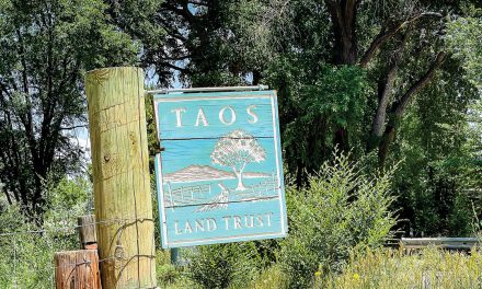 Conservation and Care