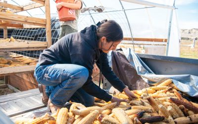 Growing the Next Generation of Farmers