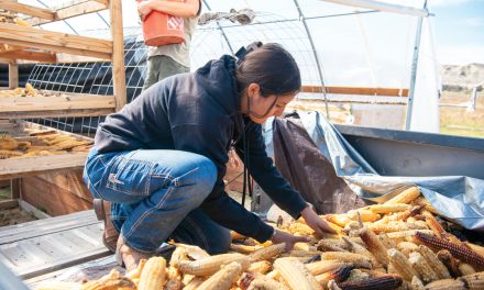 Growing the Next Generation of Farmers