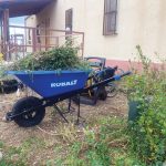 Lessons from La Milpa