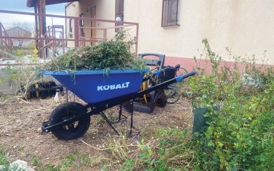 Lessons from La Milpa