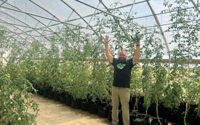 Meet the Farmers Growing New Mexico Grown