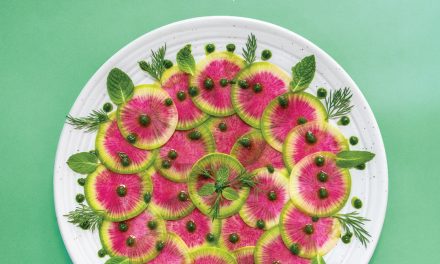 Spring 2026: Ingredients
