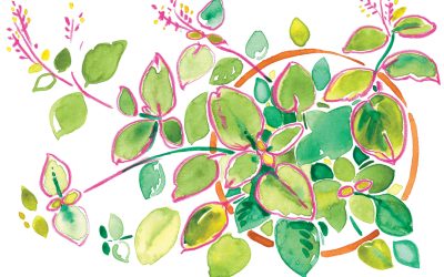 Tulsi Ushers In the Sensation of Spring