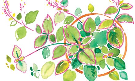 Tulsi Ushers In the Sensation of Spring