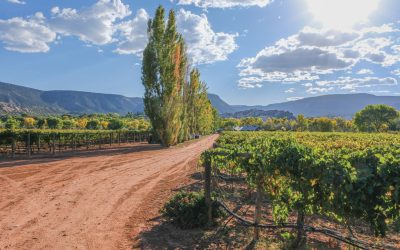 History and Hybridity