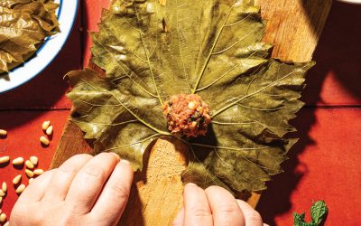 Inventing a New Mexican Dolma
