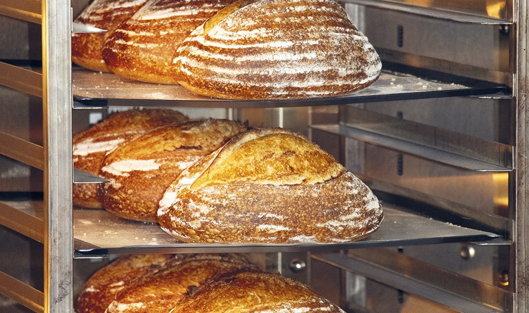 Learning to Embrace Sourdough Baking