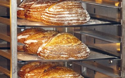 Learning to Embrace Sourdough Baking