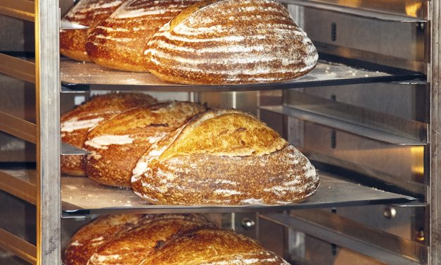 Learning to Embrace Sourdough Baking