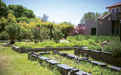 An All-Ages Special at Green House Bistro