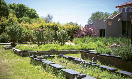 An All-Ages Special at Green House Bistro