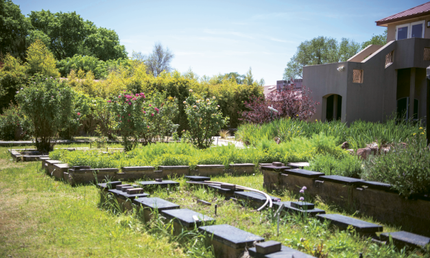 An All-Ages Special at Green House Bistro