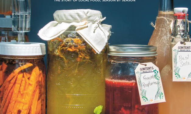 Fall 2026: Fermentation