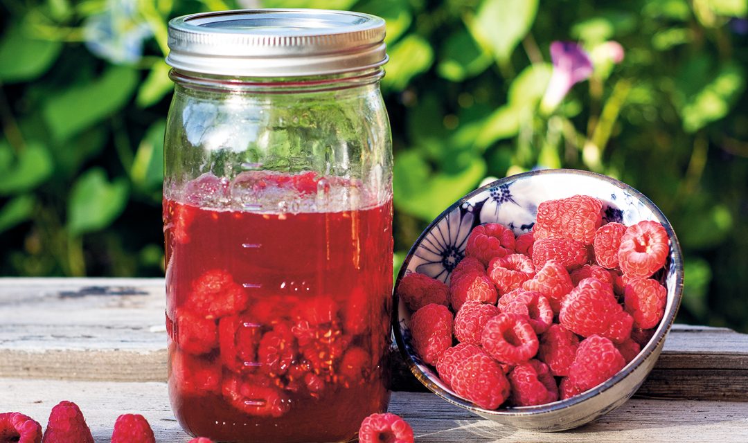 Honey-Fermented Raspberries
