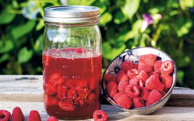 Honey-Fermented Raspberries