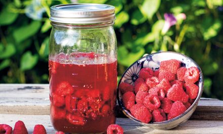 Honey-Fermented Raspberries