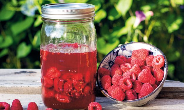 Honey-Fermented Raspberries