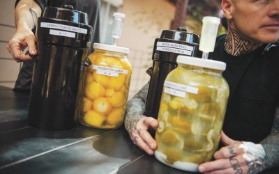 FERMENTATION NOTES