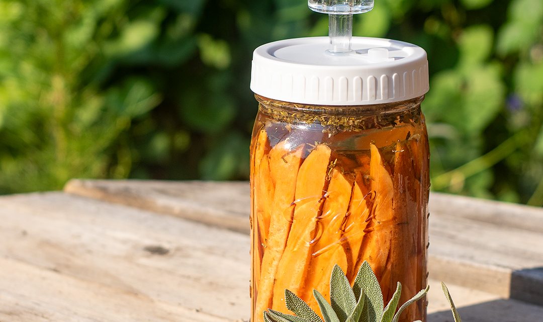 Fermented Sweet Potato Fries