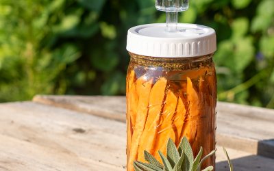 Fermented Sweet Potato Fries
