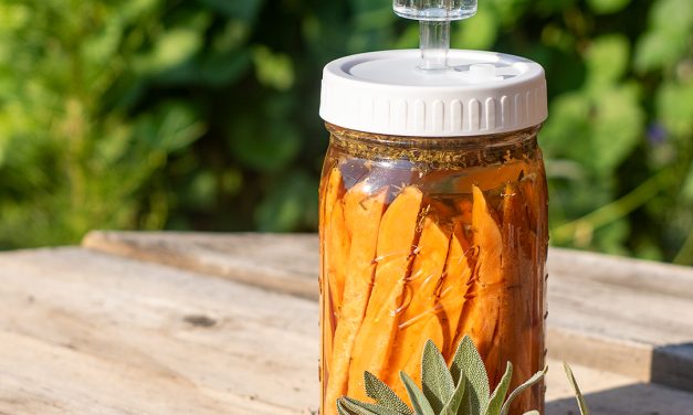 Fermented Sweet Potato Fries